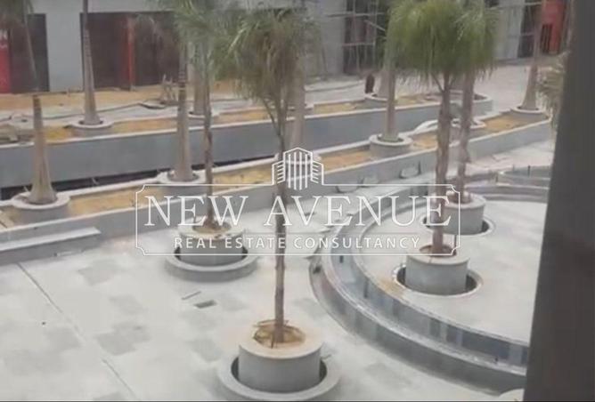 63026093 - Property Image 3