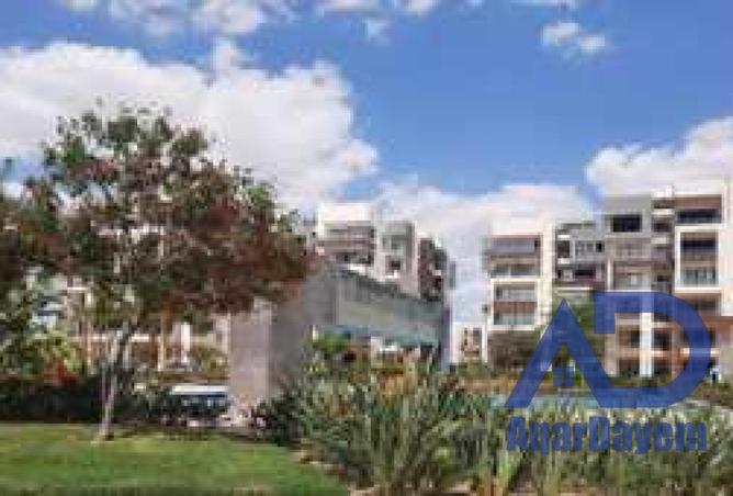 52721853 - صورة العقار 2