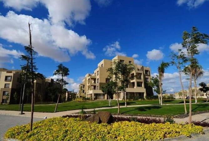 59501180 - صورة العقار 3