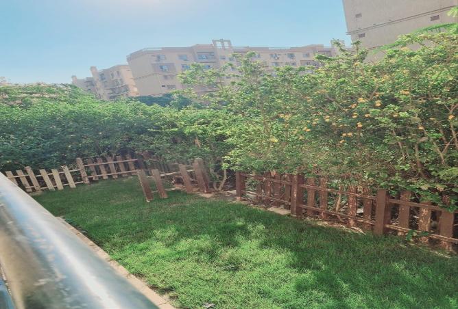 71397832 - Property Image 2