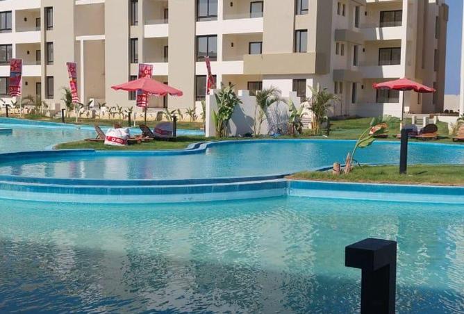 55748316 - Property Image 3