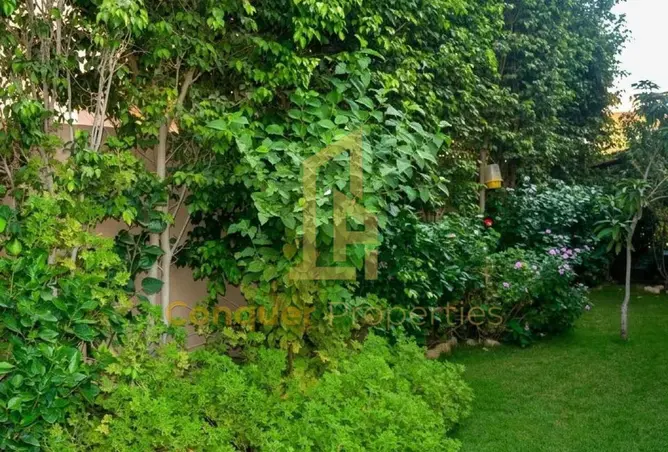 115167871 - Property Image 3