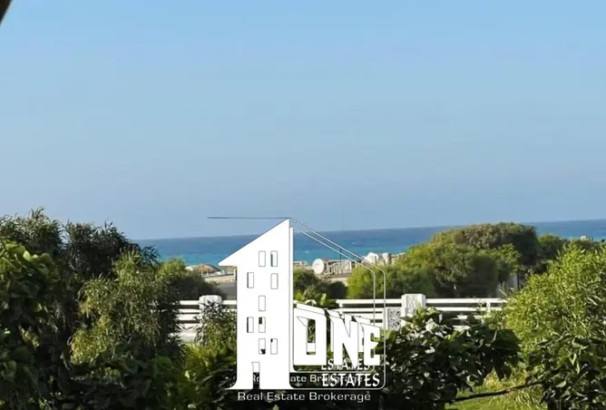 117276843 - Property Image 3