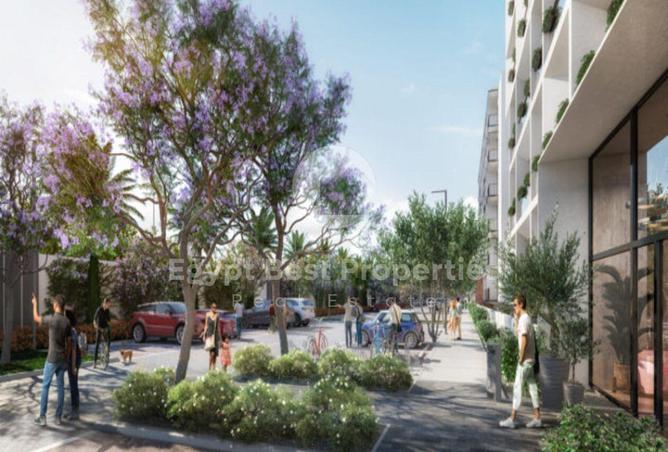 8699242 - Property Image 3