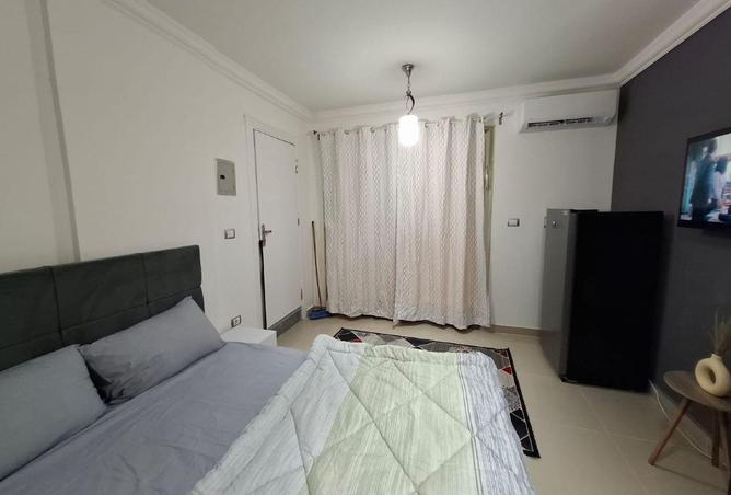 8634332 - Property Image 3