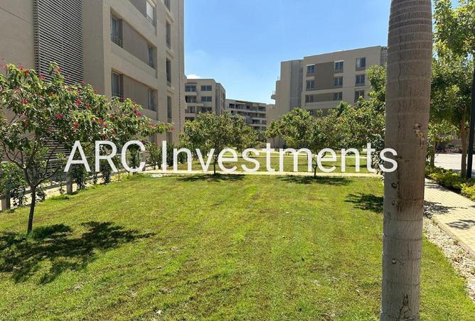 74048239 - Property Image 3