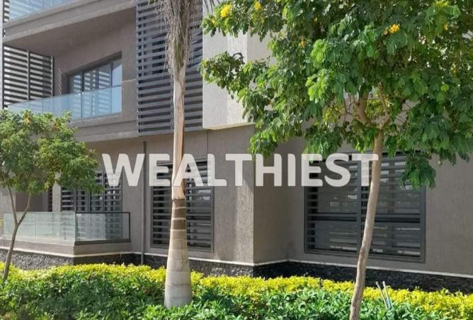 62641082 - Property Main Image