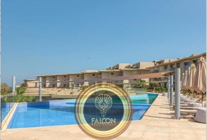 8588345 - Property Image 3