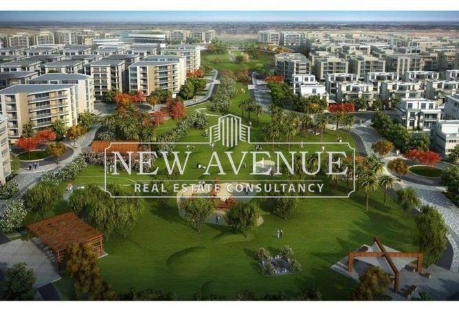 71906488 - Property Main Image