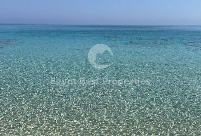 52453096 - الصورة الرئيسية للعقار