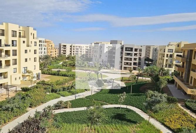 8577495 - صورة العقار 3