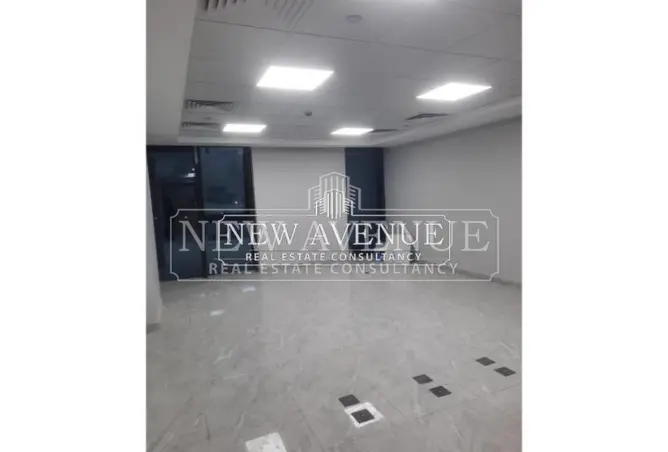 113531501 - Property Image 2