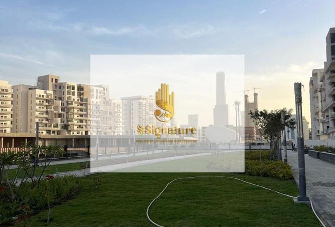 74598138 - Property Image 3