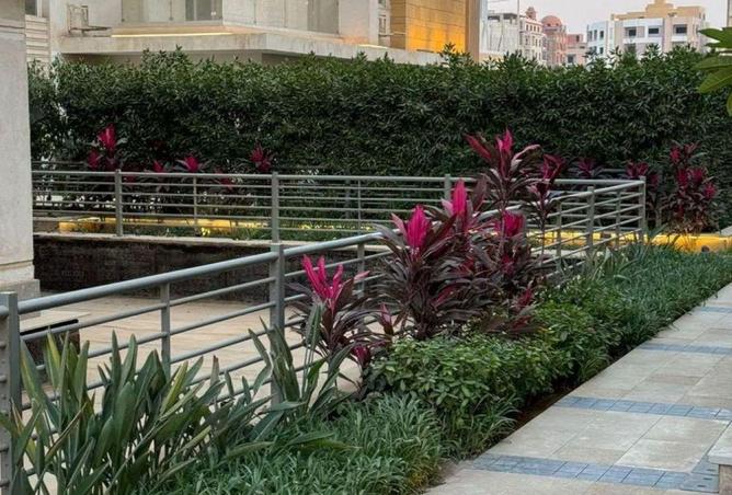 68269467 - صورة العقار 3