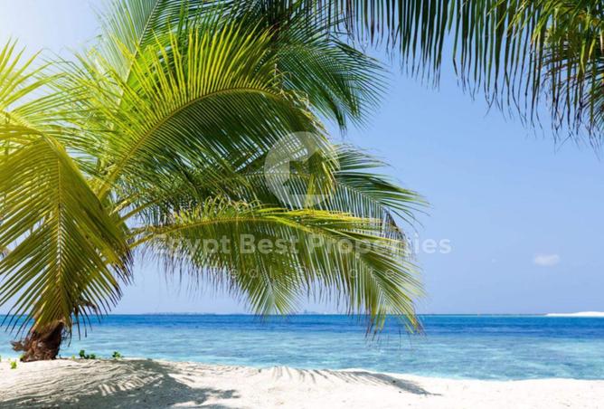 66704319 - صورة العقار 2