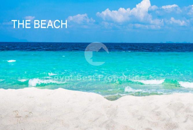 66704319 - صورة العقار 3