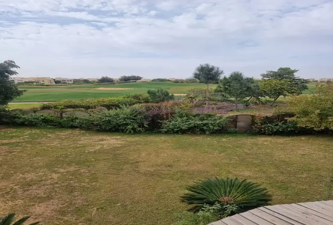 112981239 - Property Image 3