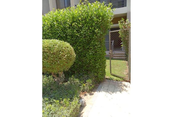 65918666 - صورة العقار 3