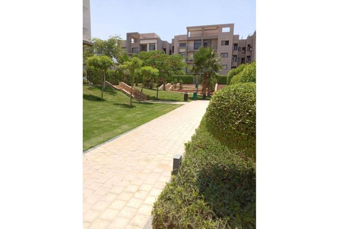 65918666 - صورة العقار 2