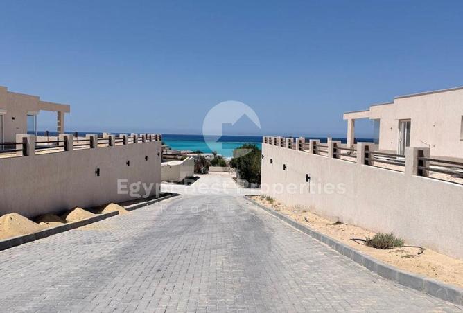 96865826 - Property Image 3