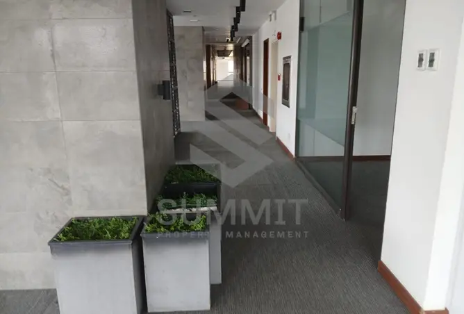 120616449 - Property Image 3