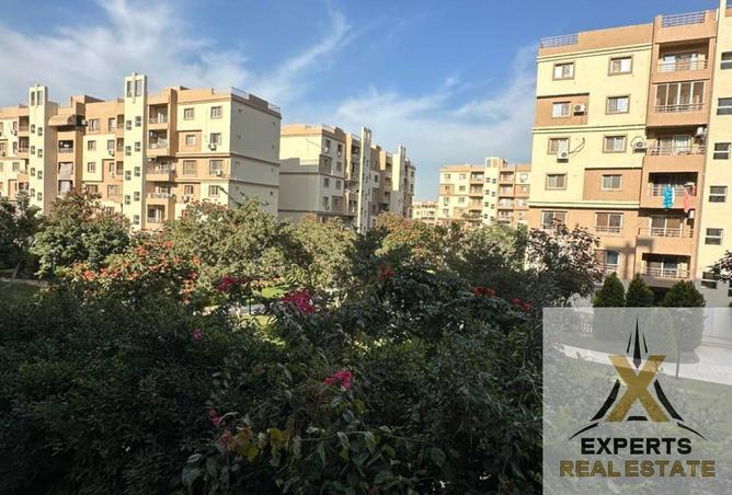 8561387 - صورة العقار 3