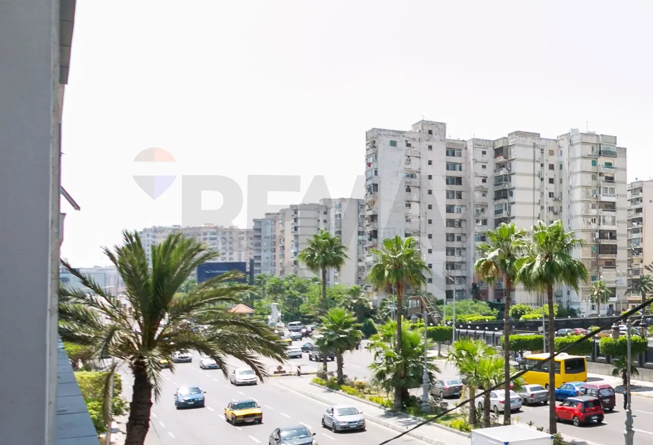 113254435 - الصورة الرئيسية للعقار