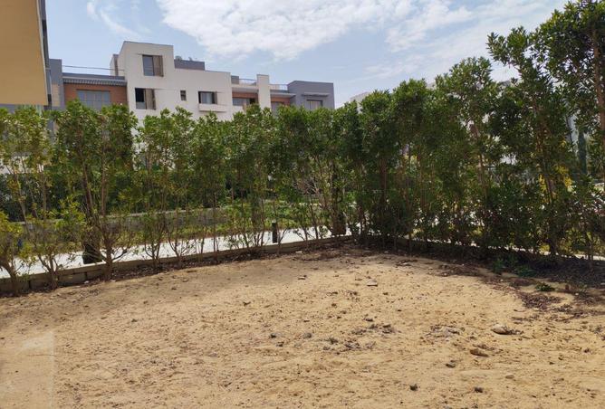 58985167 - Property Image 3