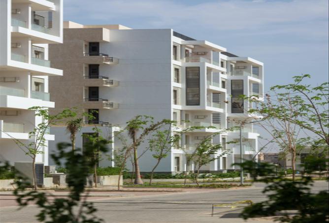 64892506 - صورة العقار 3