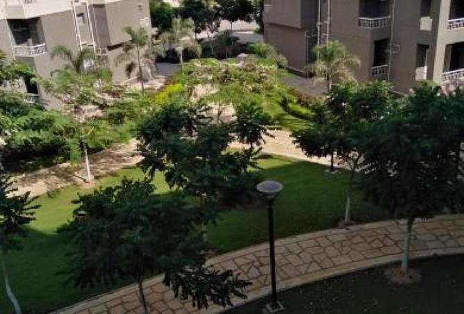 63146332 - الصورة الرئيسية للعقار