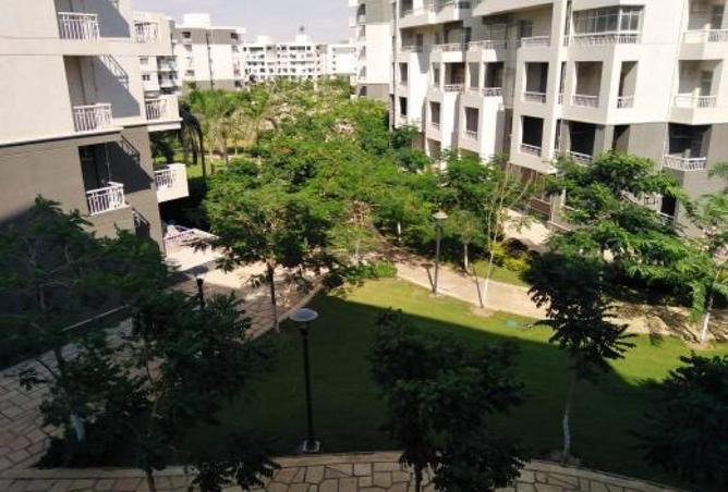 63146332 - صورة العقار 2