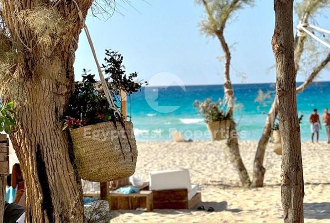 69305805 - Property Image 2