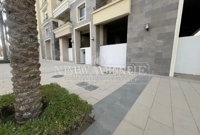 113251245 - صورة العقار 3