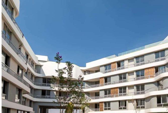 56003872 - Property Image 3