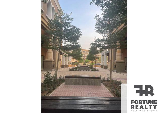 68521723 - Property Image 3