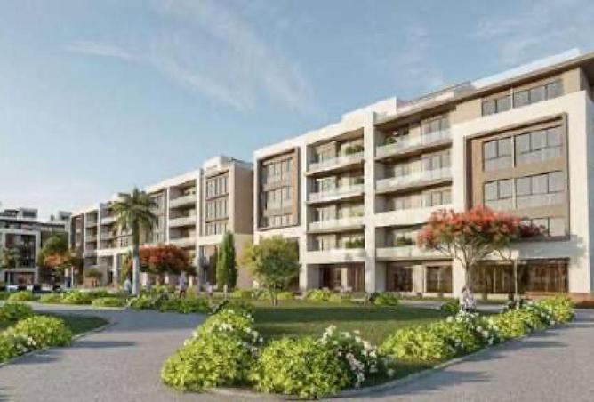 55252835 - Property Image 3