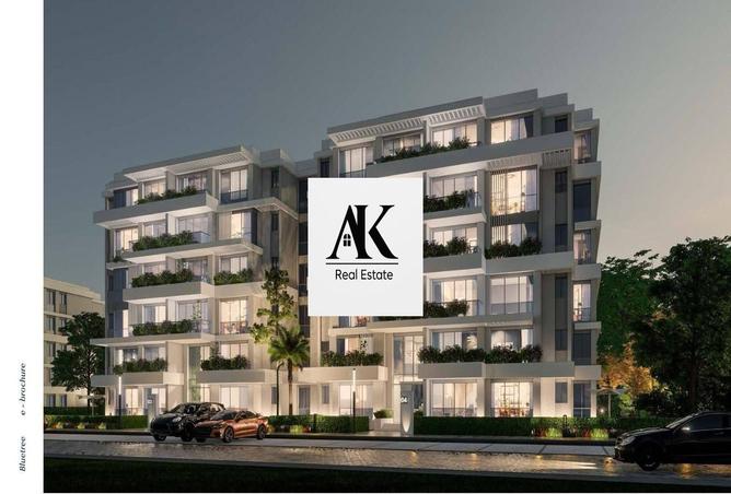 8583421 - Property Image 2