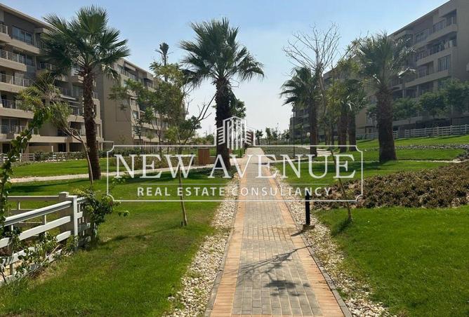 68796024 - صورة العقار 2