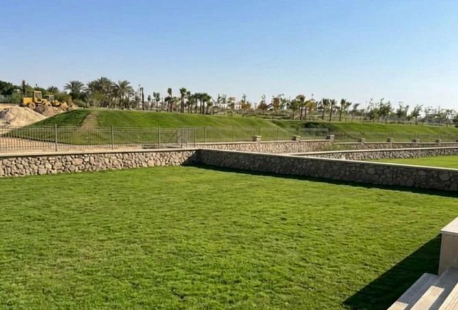 66175167 - صورة العقار 3