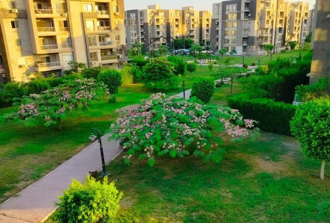 107417444 - Property Image 2