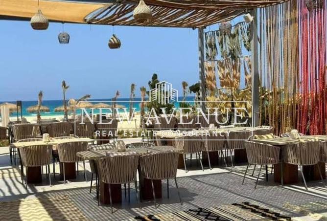 56258739 - Property Image 3