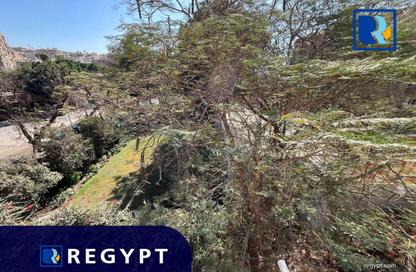 Penthouse - 3 Bedrooms - 3 Bathrooms for rent in Sarayat Al Maadi - Hay El Maadi - Cairo
