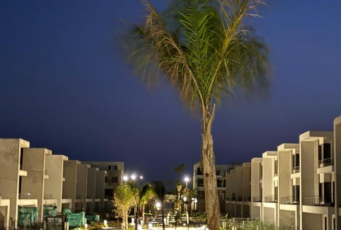 70354979 - صورة العقار 2