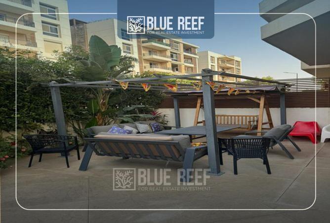 66682878 - Property Image 3