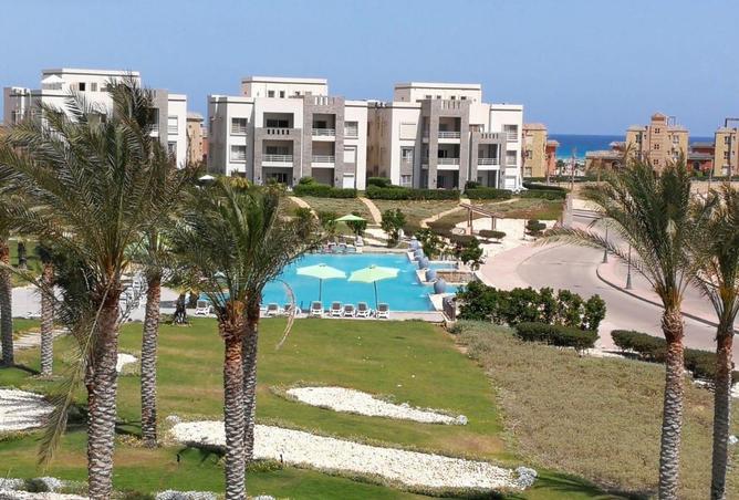 58985139 - صورة العقار 3