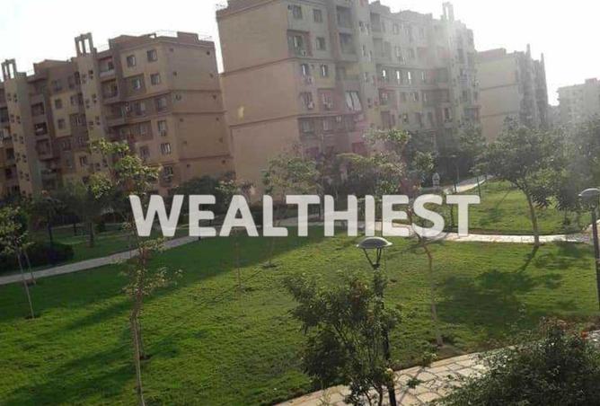 53733526 - Property Image 3