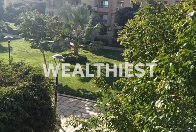 53733526 - Property Image 2