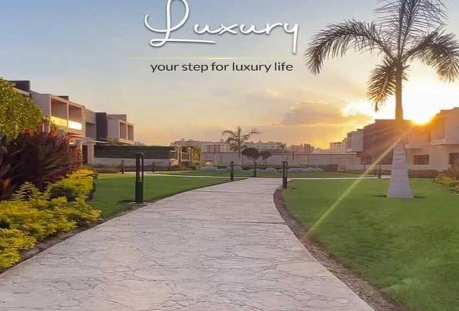 53736347 - Property Image 3