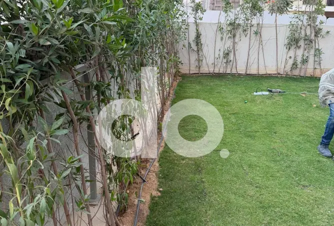 117264504 - صورة العقار 3