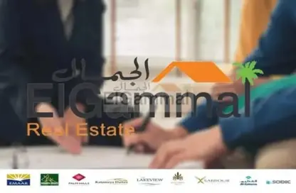 Apartment - 5 Bedrooms - 4 Bathrooms for sale in Heliopolis - Masr El Gedida - Cairo
